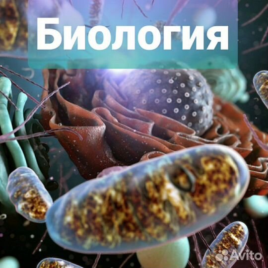 Репетитор по Биологии,Анатомии, Гистологии, Тесты