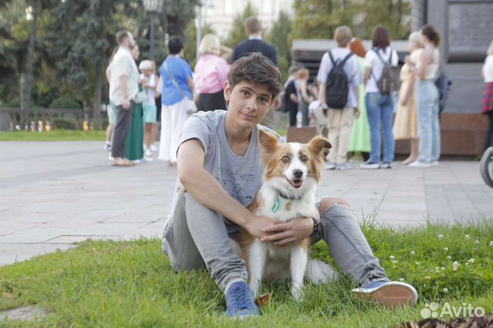 Кинолог. Обучение, воспитание собак