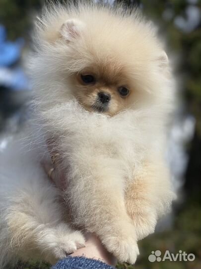 Кукольная малышка