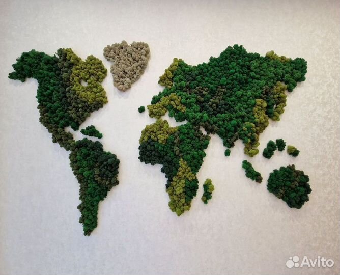 Панно. Декор. Стабилизированный мох