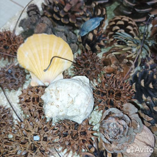 Поделки из природного материала