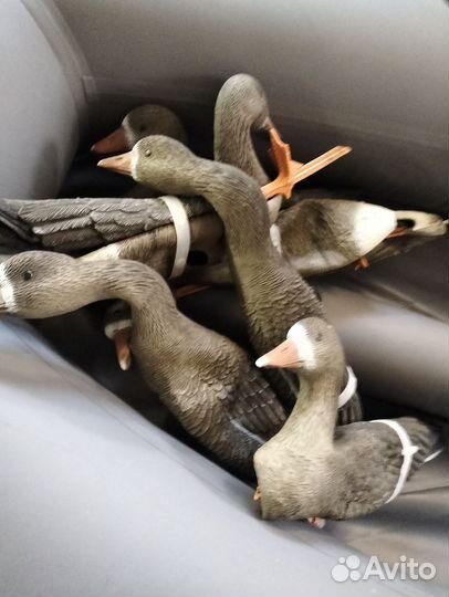 Охота и рыбалка