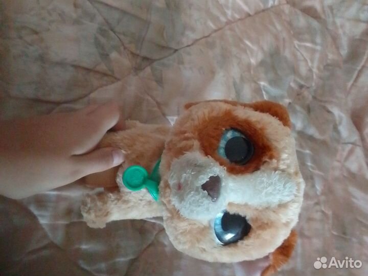 Мягкие игрушки собак