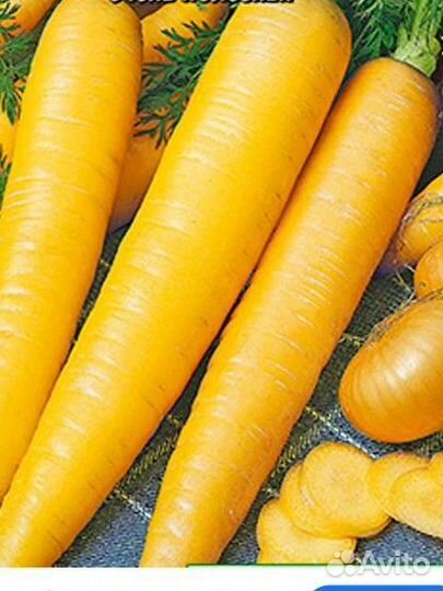 Морковь Солнечная среднеспелая семена 50 шт
