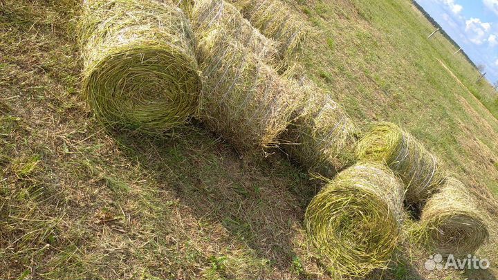 Сено в рулонах