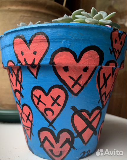 Эхеверия Валентина