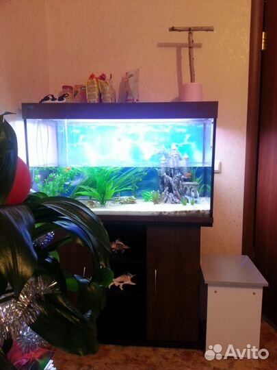 Продам аквариум