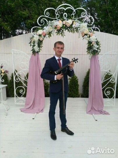 Живая музыка (скрипка ) на праздник