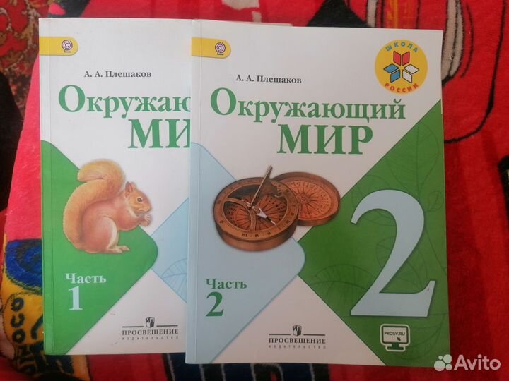 Учебник окружающий мир 2 и 3 классы