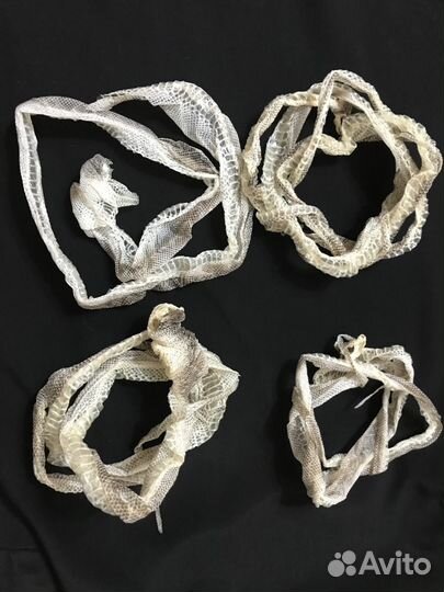 Выползок черного удава (кожа после линьки)