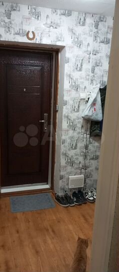 1-к. квартира, 24,9 м², 4/5 эт.