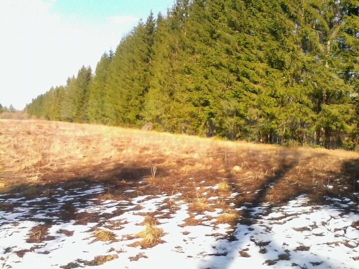 Участок 2,76 га (СНТ, ДНП)