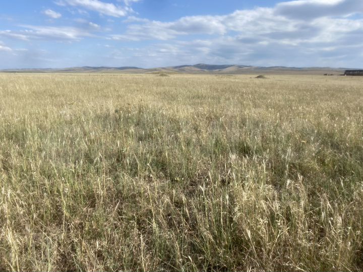 Участок 30 сот. (ИЖС)