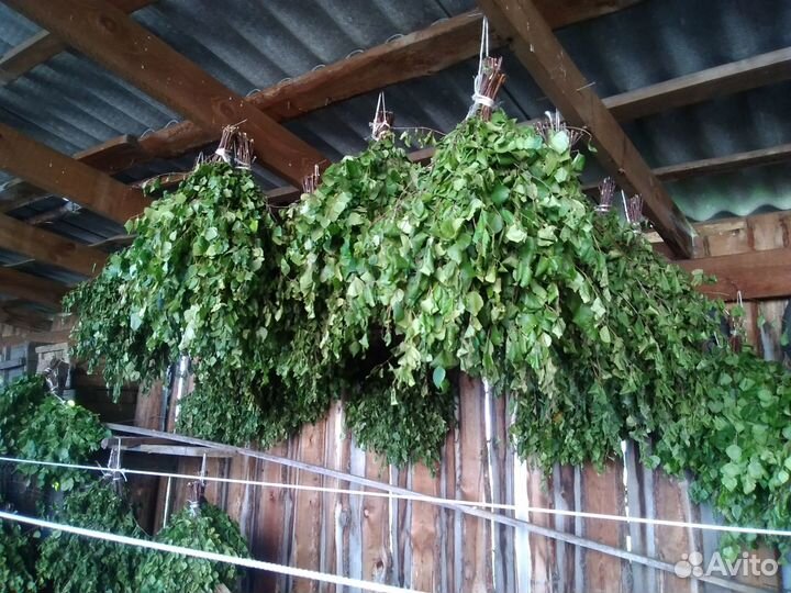 Веники для бани