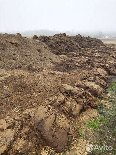 Перегной Навоз Коровий