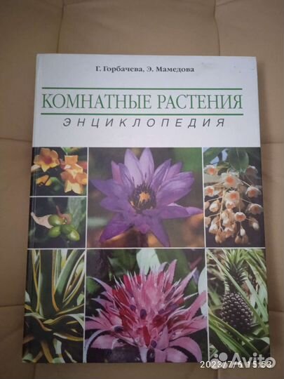 Энциклопедия комнатных растений