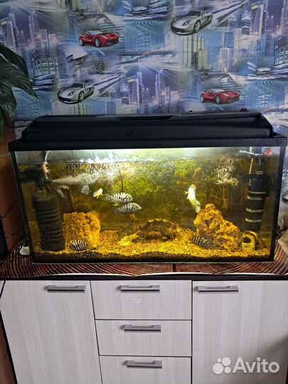 Аквариум