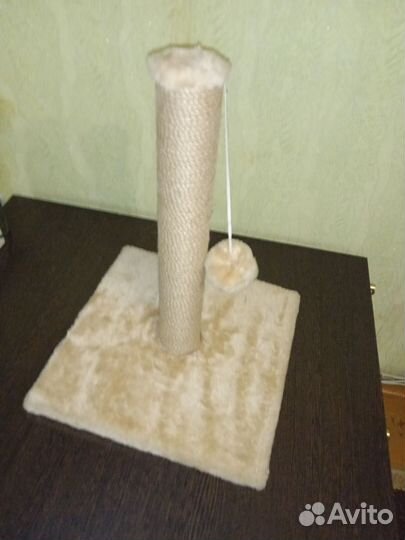 Когтеточка