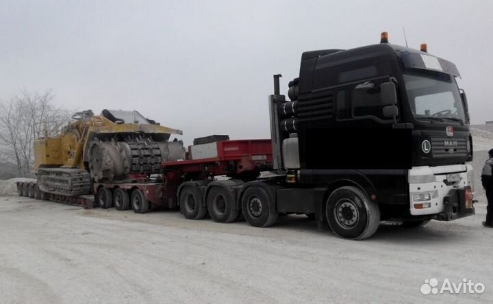 Грузоперевозки 5, 10, 20, 80 тонн штора, реф, борт