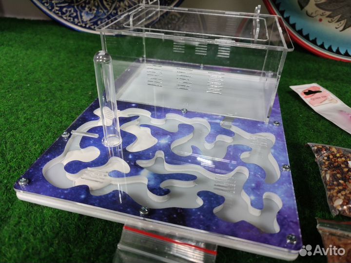 Муравьинная ферма