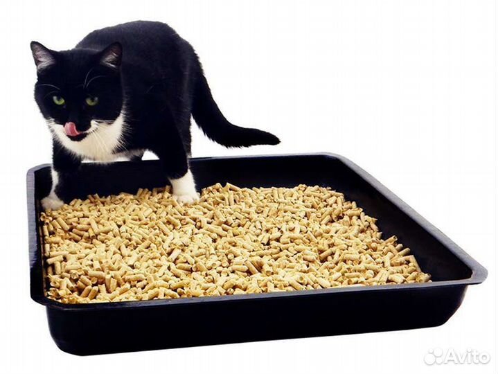 Наполнитель для кошачьего туалета