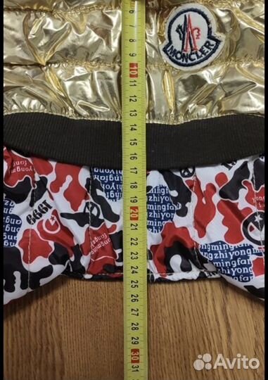 Одежда для собак мелких пород