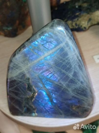 Лабрадор фиолетовый