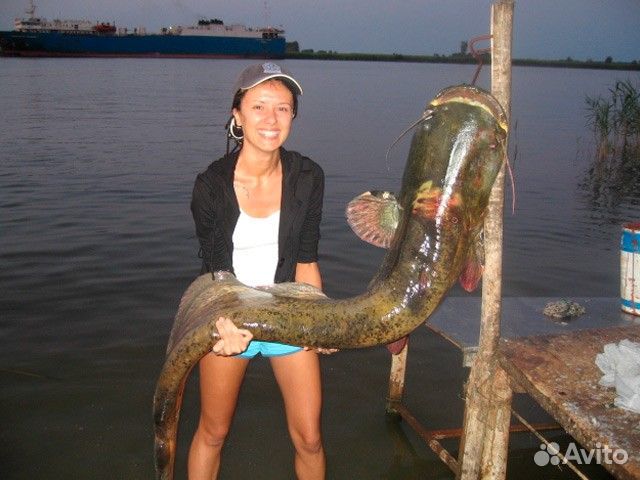 Рыбалка в Астраханской области