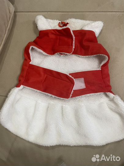 Новогодний няряд на собачку среднего размера