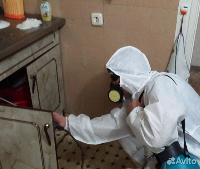 Уничтожение тараканов, клопов, клещей, блох 24/7