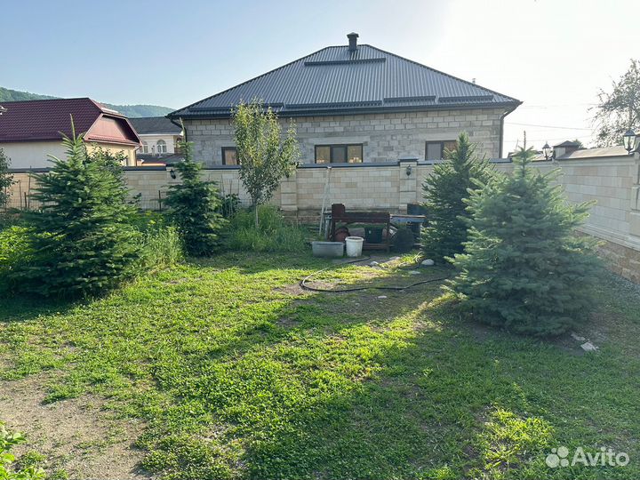 Ель голубая