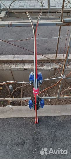 Горные лыжи детские 110см