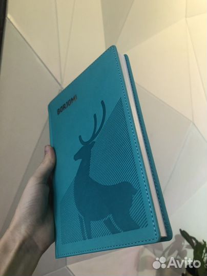 Ежедневник недатированный