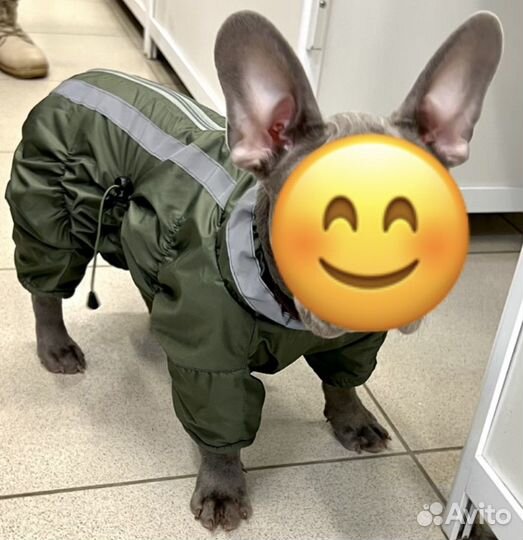 Комбинизон для собак мелких пород
