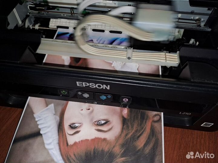 Epson l486