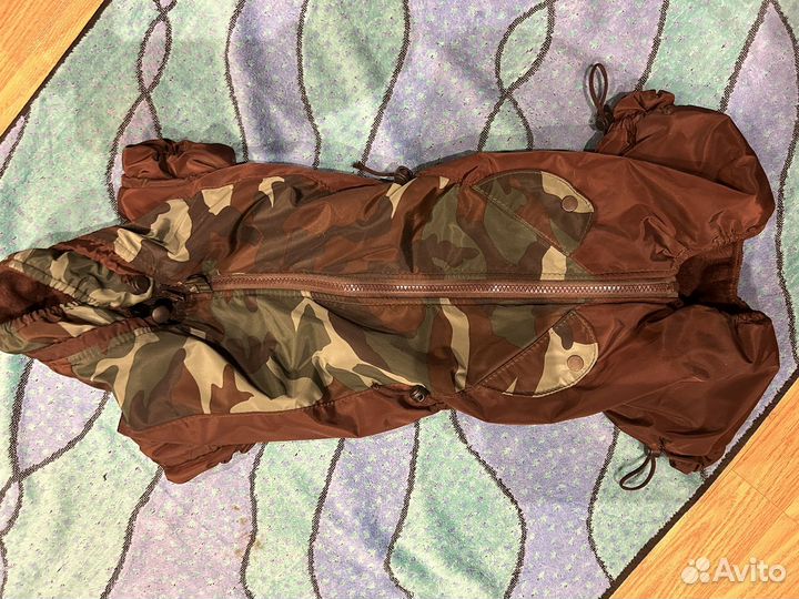 Комбинезон дождевик для собаки таксы мальчик