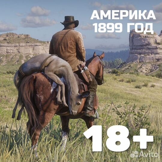 Red Dead Redemption 2 (xboxone)