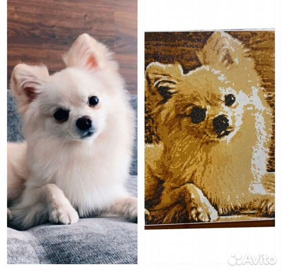 Подарок на день рождения