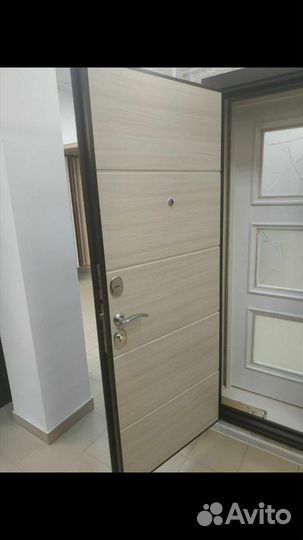 Дверь входная вектор