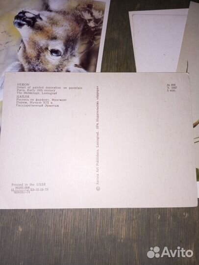 Открытки Каневский, Исаков