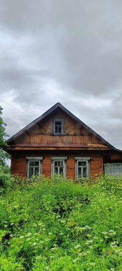 Дом 55 м² на участке 30 сот.