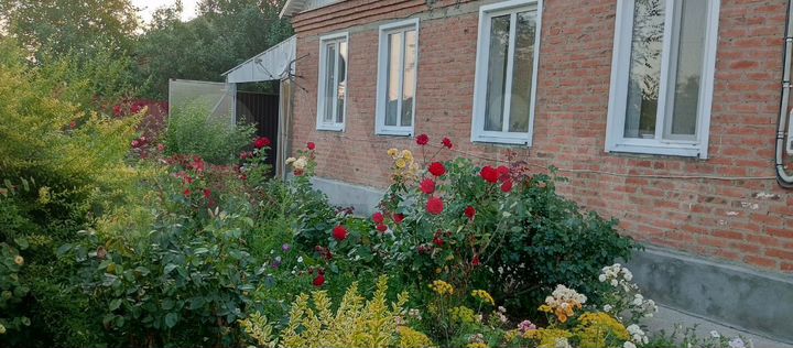 Дом 81,7 м² на участке 50 сот.