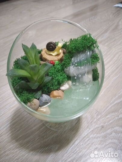 Композиции из суккулентов