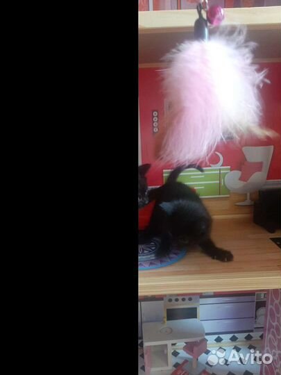 В добрые руки