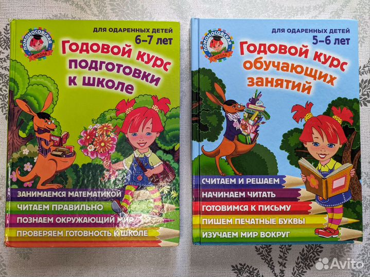 Книги Подготовка к школе. Годовой курс