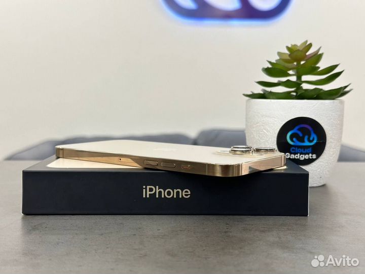 iPhone 13 Pro Max, 256 ГБ