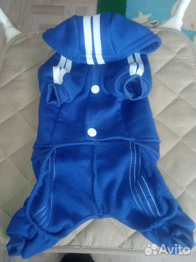 Одежда для маленьких собак