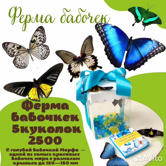 Ферма бабочек