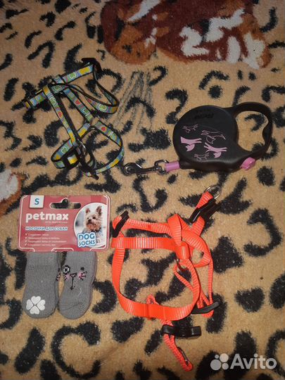 Одежда и принадлежности для маленькой собачки