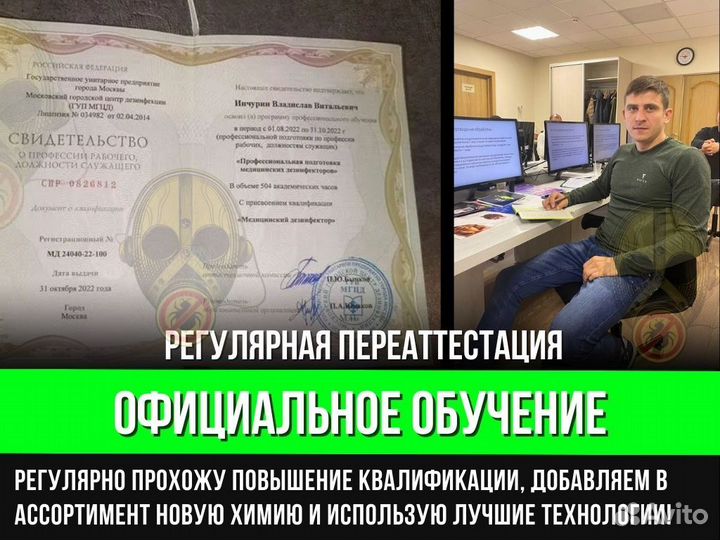 Уничтожение тараканов, уничтожение клопов